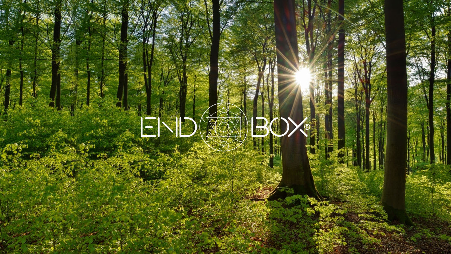 endboxslide01