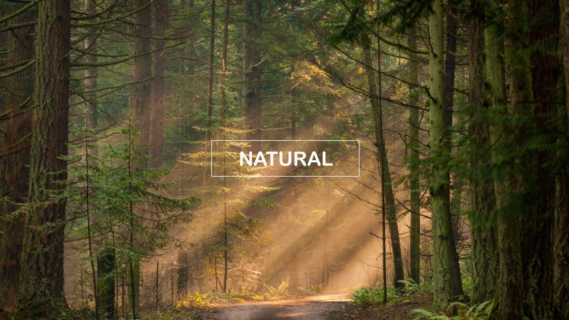 natural_endbox04
